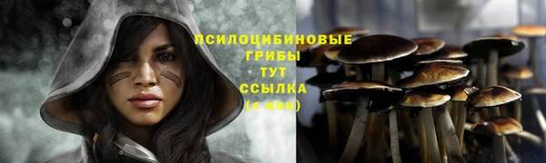 амф Абаза