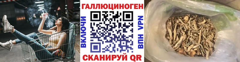 закладка  Старая Русса  Галлюциногенные грибы GOLDEN TEACHER 