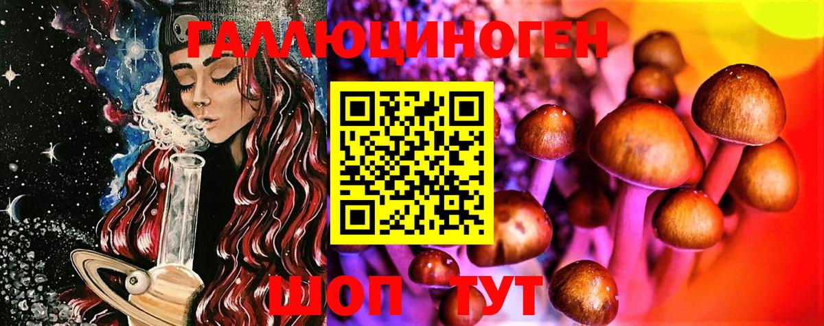 Галлюциногенные грибы GOLDEN TEACHER  Вход с VPN  Старая Русса  Псилоцибиновые грибы GOLDEN TEACHER 